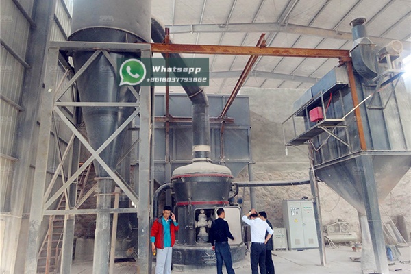 Technician performing a routine inspection on a mill, showcasing accessible wear parts for easy reversal